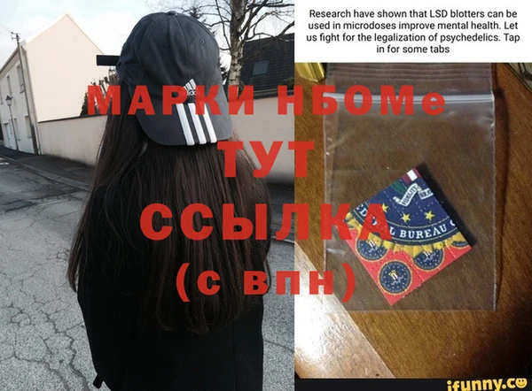 стафф Майский