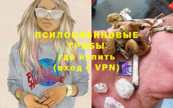 амф Абаза