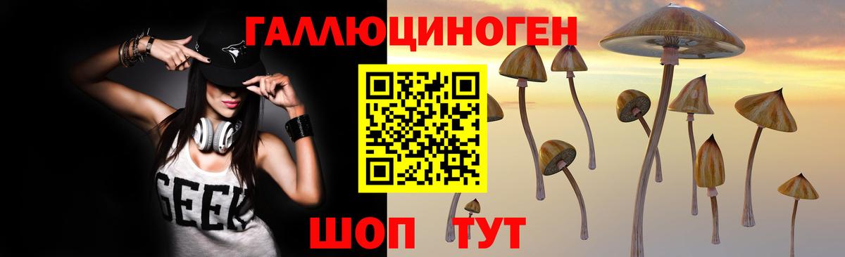 Псилоцибиновые грибы Psilocybe Троицк